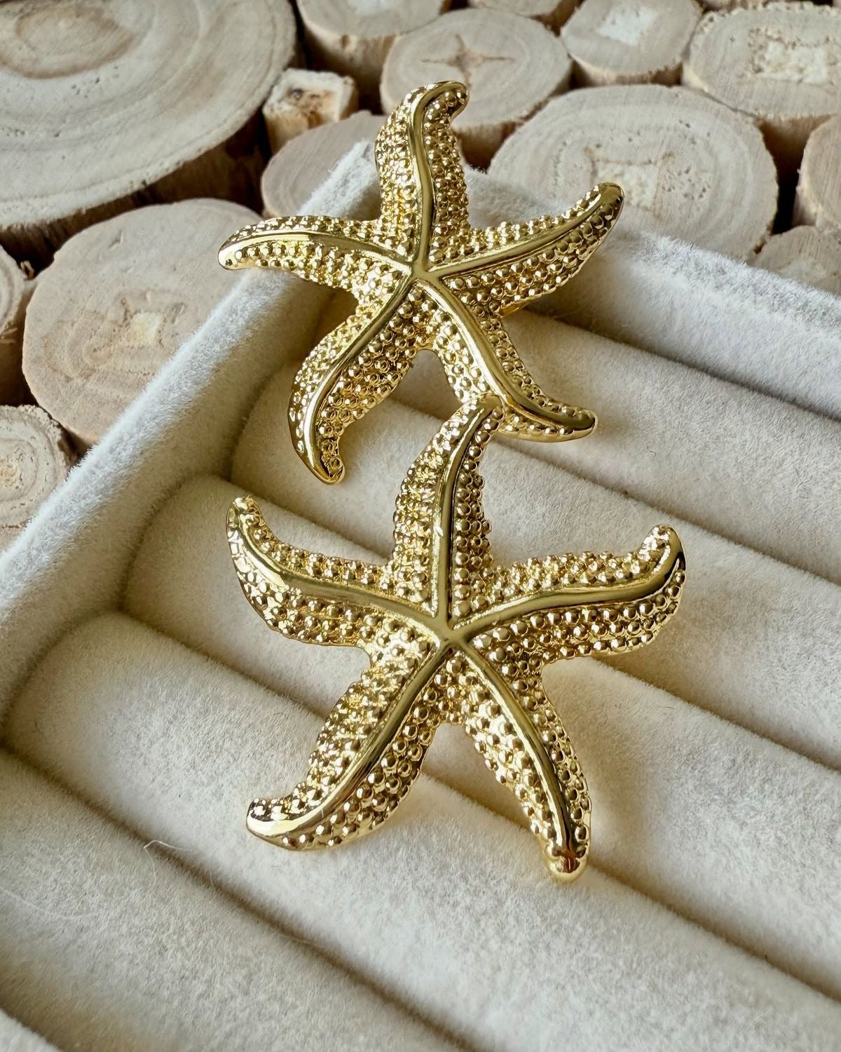 Starfish Shell Earrings