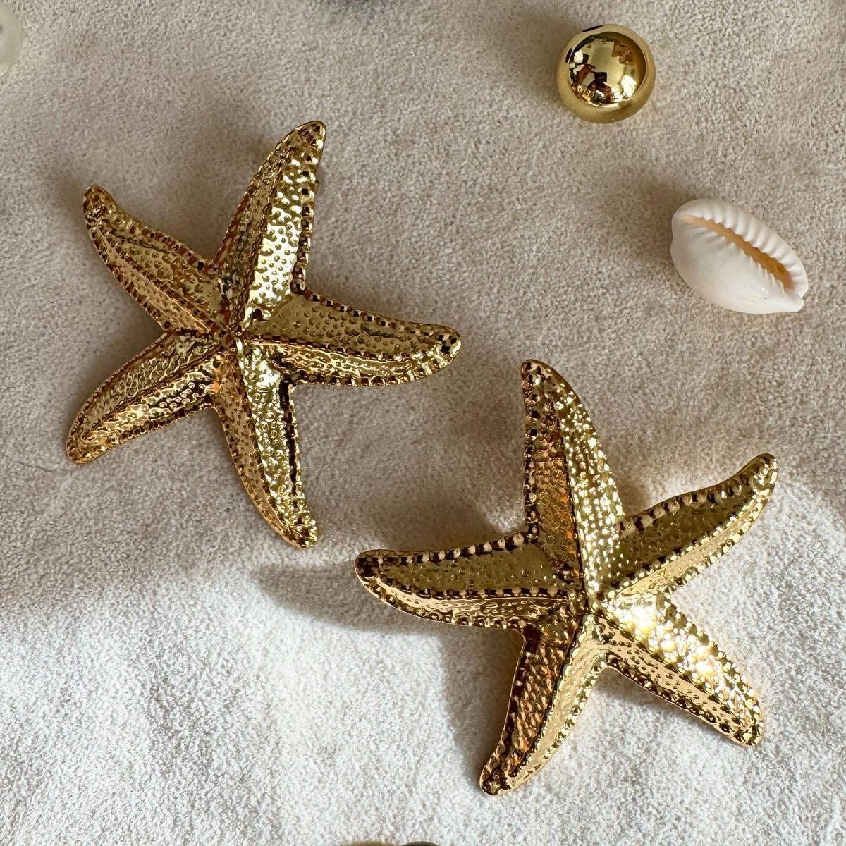 Starfish Shell Earrings